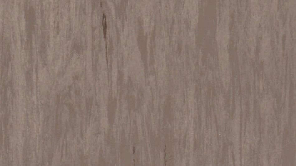 PVC無縫捲毯=>Tarkett Standard Plus-0