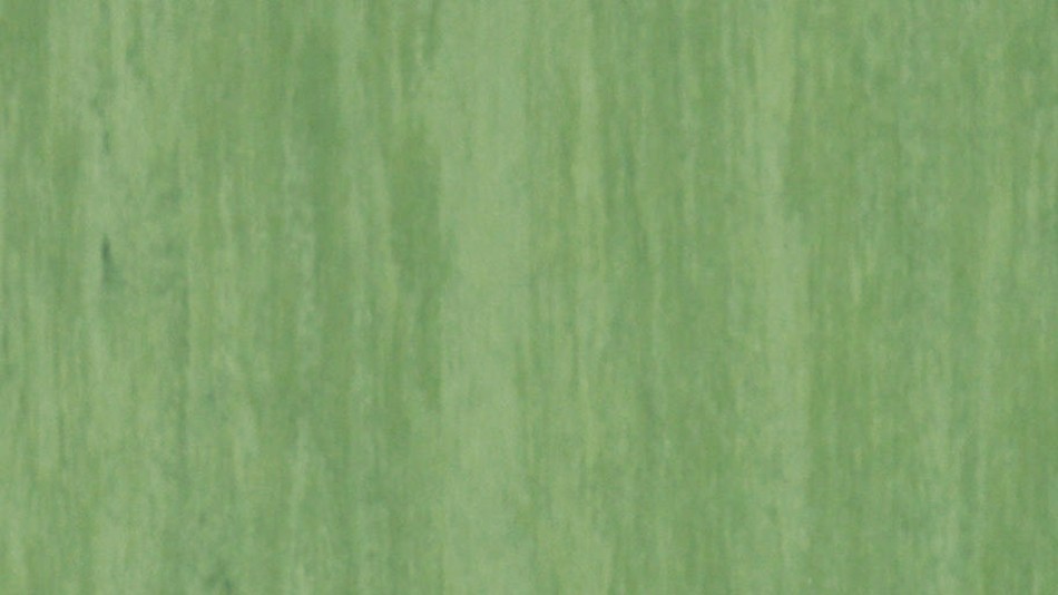 PVC無縫捲毯=>Tarkett Standard Plus-0
