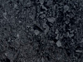 PVC塑膠地磚2.0=>WINTON帝寶系列VI-0