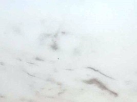 PVC塑膠地磚2.0=>WINTON帝寶系列VI-0