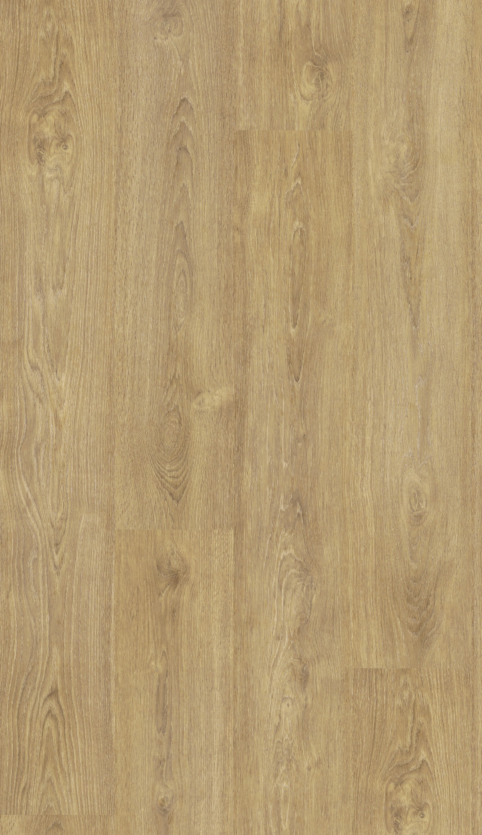 超耐磨木地板=>Purefloor舶雅-0